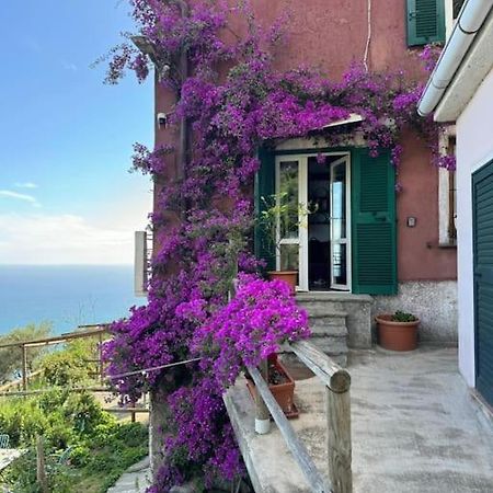 Amazing Flat At The Heart Of 5 Terre National Park Apartment Vernazza Exterior photo