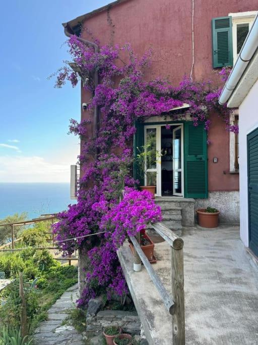 Amazing Flat At The Heart Of 5 Terre National Park Apartment Vernazza Exterior photo